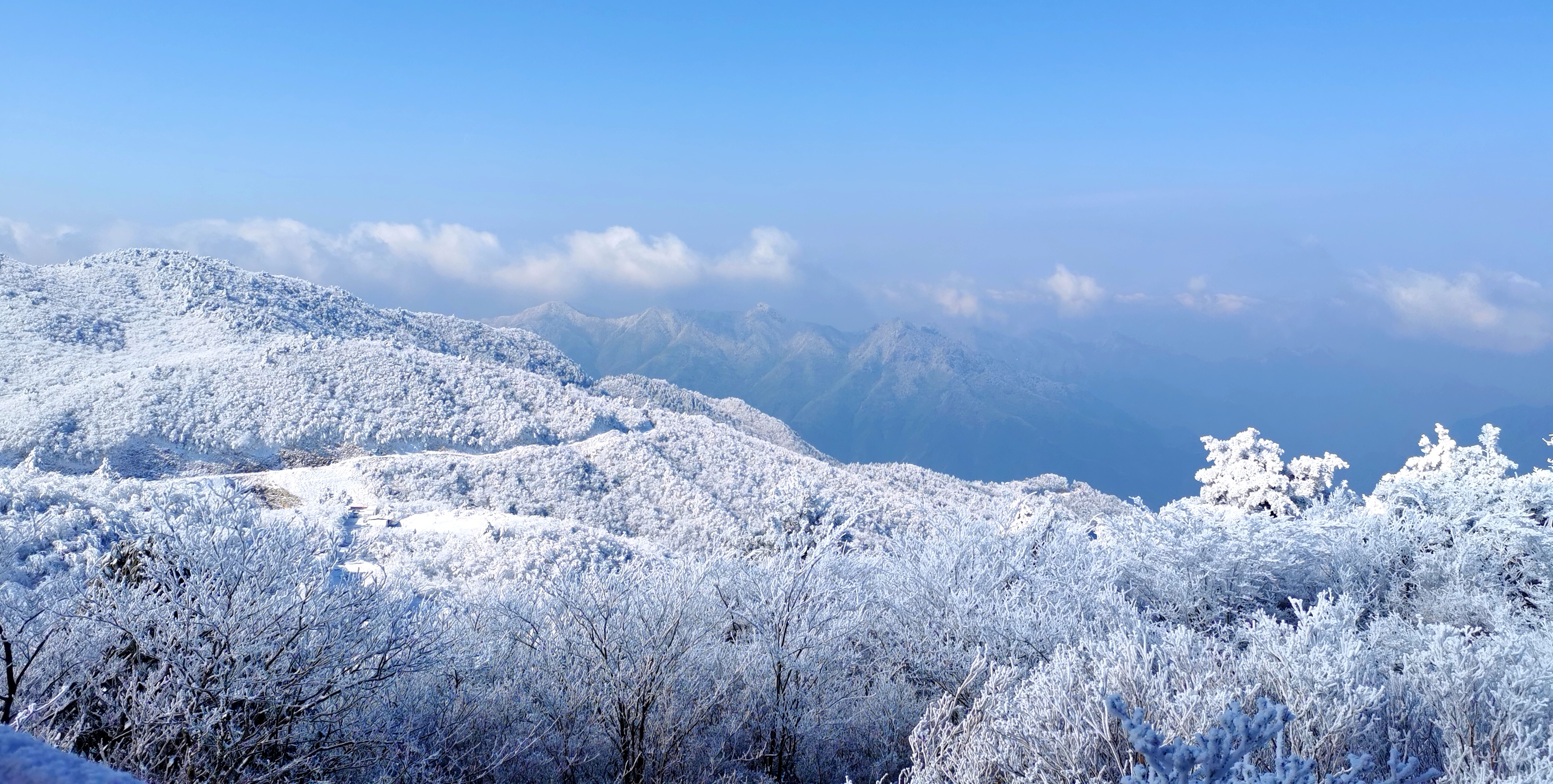 六春湖